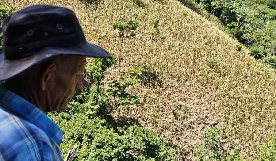 Seguridad Hídrica en Honduras: El Desafío Nacional que Impacta a los Municipios.