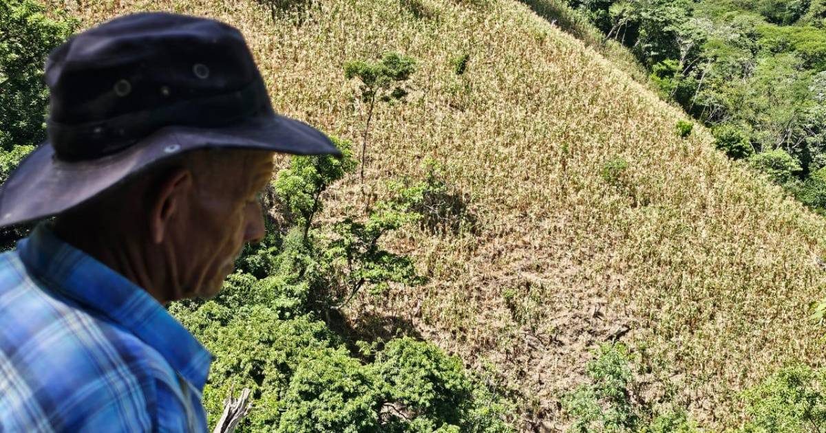 Seguridad Hídrica en Honduras: El Desafío Nacional que Impacta a los Municipios.